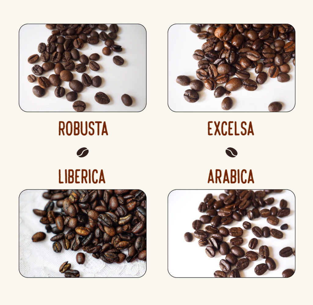 هناك العديد من أنواع القهوة التي يمكن للناس الاستمتاع بها. بعض الأنواع الأكثر شيوعًا تشمل لاتيه، إسبرسو، كابتشينو، أمريكانو، والقهوة البيضاء المسطحة. كل نوع من أنواع القهوة له نكهته الفريدة وخصائصه التي تجعله ممتعًا للشرب.