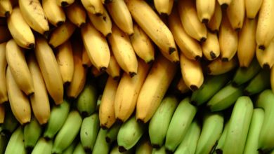 الموز وفوائده وأضراره