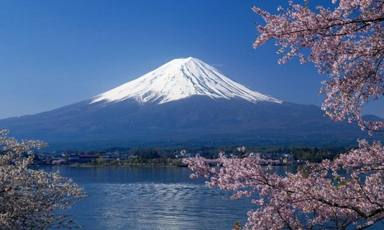 اليابان هي وجهة سياحية شهيرة ، حيث يزورها ملايين الأشخاص من جميع أنحاء العالم كل عام. تتمتع البلاد بثقافة وتاريخ ثريين ، فضلاً عن المناظر الطبيعية الجميلة. تعد اليابان أيضًا موطنًا للعديد من مناطق الجذب السياحي